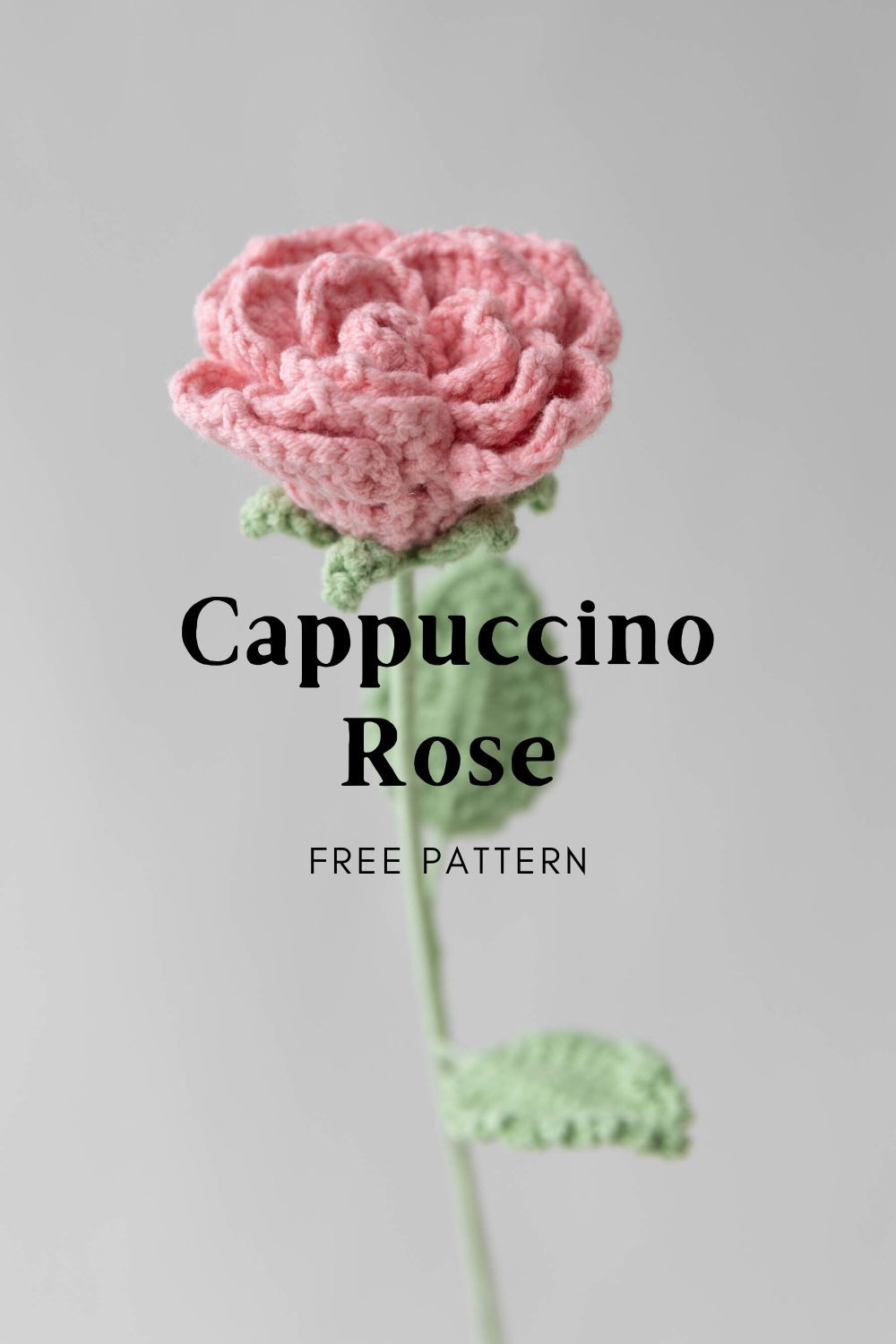 Crochet Cappuccino Rose- Free Pattern