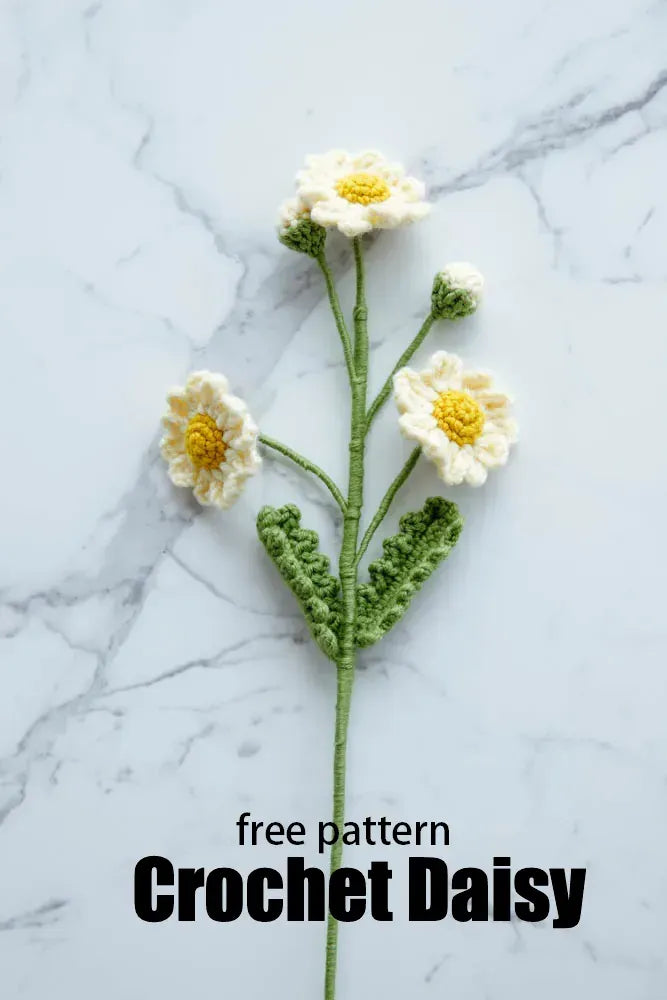 Crochet Daisy Free Pattern