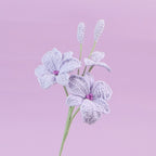 Crochet Dendrobium Orchid Stems-10-Pack