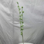 Crochet Greenery Stems-10-Pack