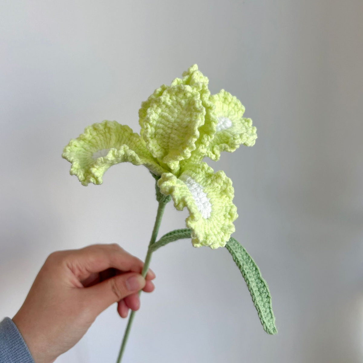 Crochet Iris Flowers-10-Pack