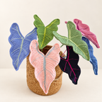 Crochet Alocasia Leaf Stems-10-Pack