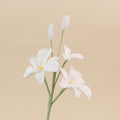 Crochet Dendrobium Orchid Stems-10-Pack