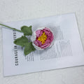 Crochet Peony Flower Stem-10-Pack
