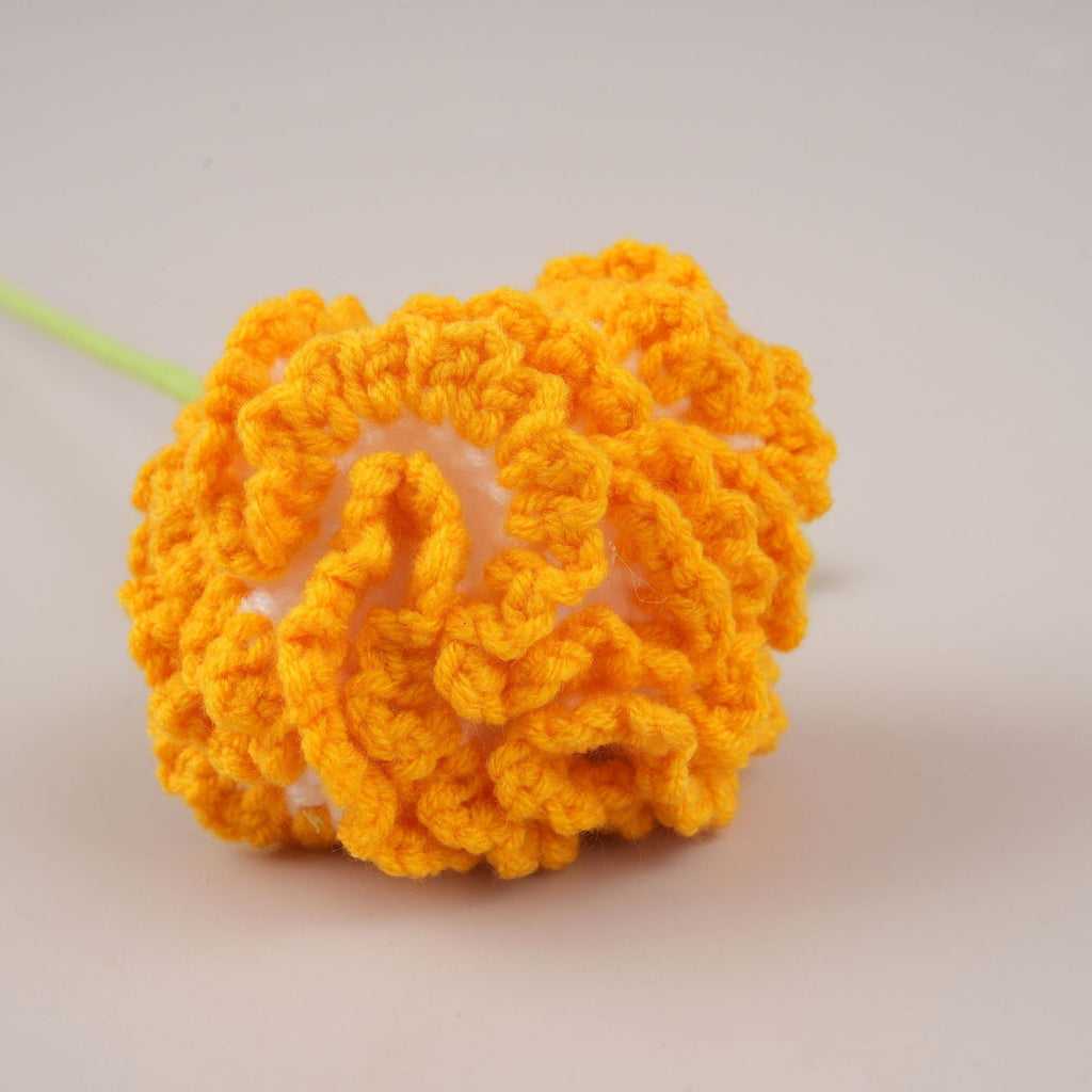 10PC Handmade Crochet Carnation Stem – Colorful Forever Flower