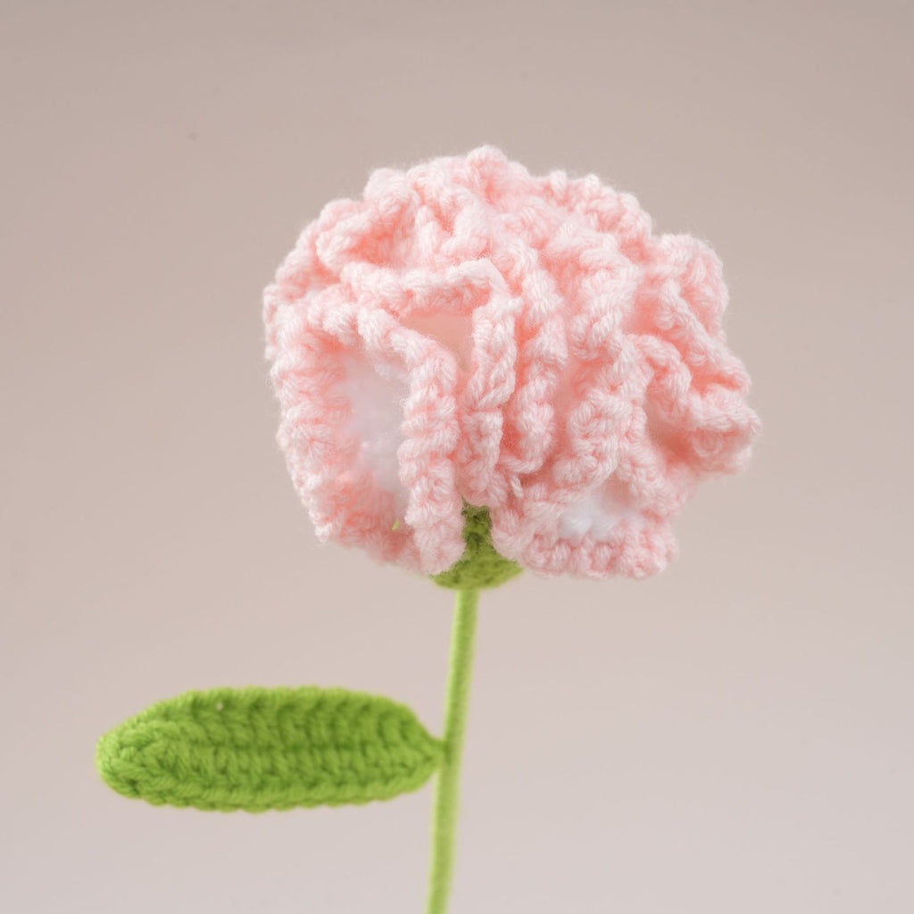 10PC Handmade Crochet Carnation Stem – Colorful Forever Flower