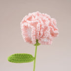 10PC Handmade Crochet Carnation Stem – Colorful Forever Flower