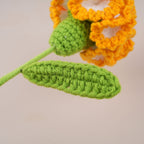 10PC Handmade Crochet Carnation Stem – Colorful Forever Flower
