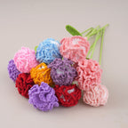 10PC Handmade Crochet Carnation Stem – Colorful Forever Flower
