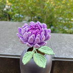 Crochet Dahlia Flowers-5-Pack