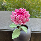 Crochet Dahlia Flowers-5-Pack