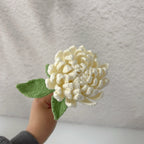 Crochet Dahlia Flowers-5-Pack