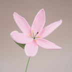 10 Pcs Handmade Crochet Lily Flowers