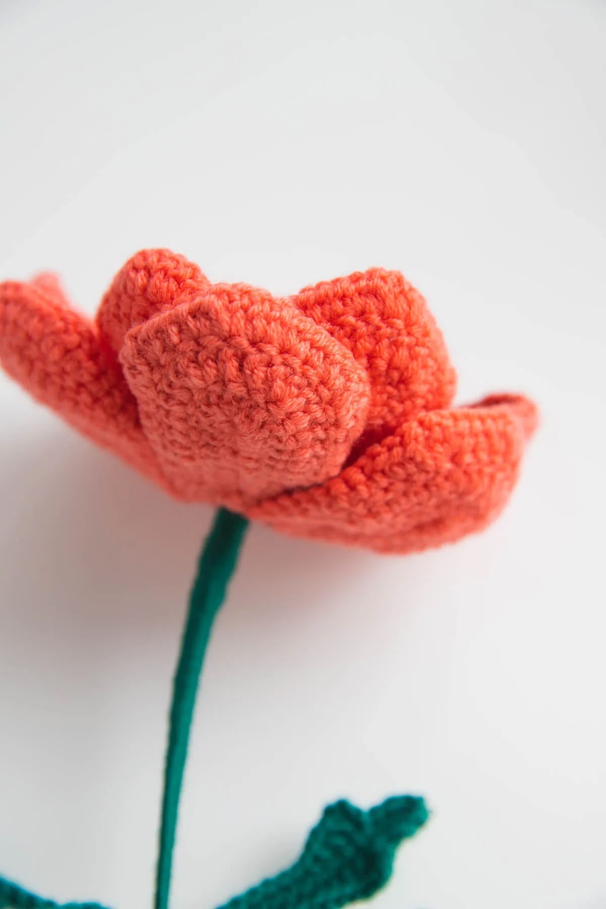 crochet anemone flower pattern made with soft wool yarn