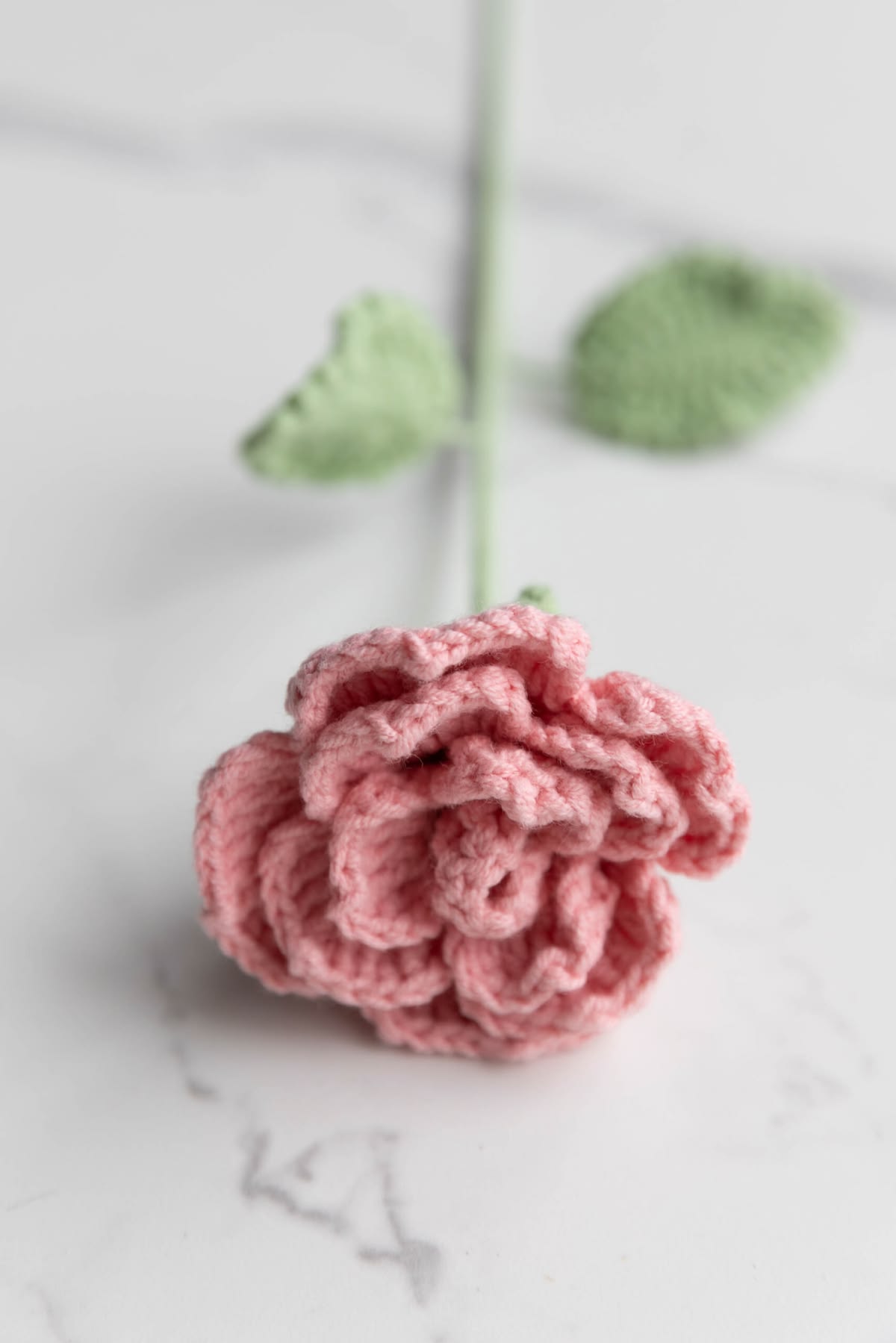 crochet cappuccino rose pattern wool yarn flower