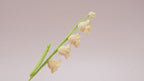 Crochet Bellflower Stems — 10-Pack
