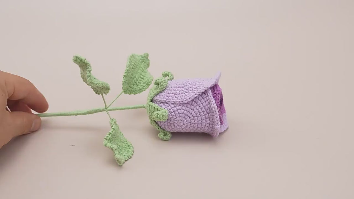 10PCS Handmade Crochet Rose Flower Set – Gifts & Home Decor