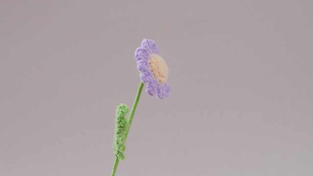10 Pcs Handmade Crochet Daisy Flowers