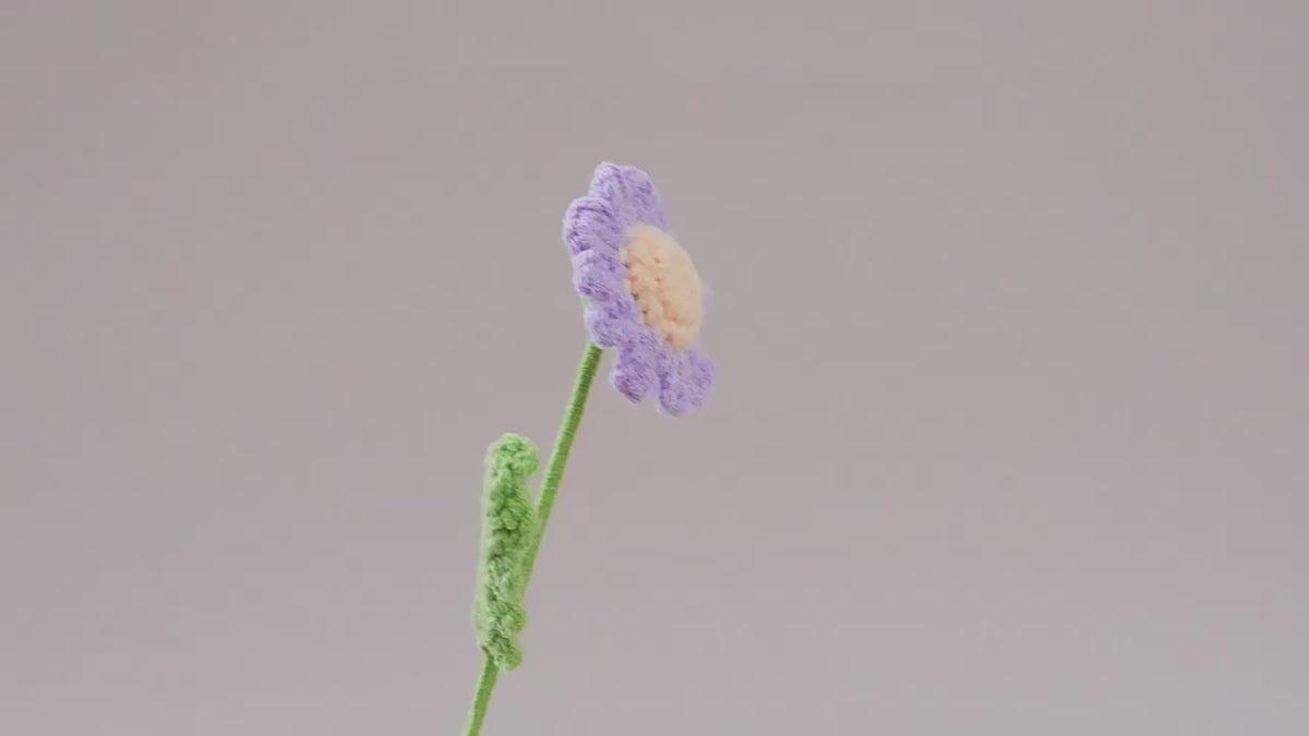 10 Pcs Handmade Crochet Daisy Flowers