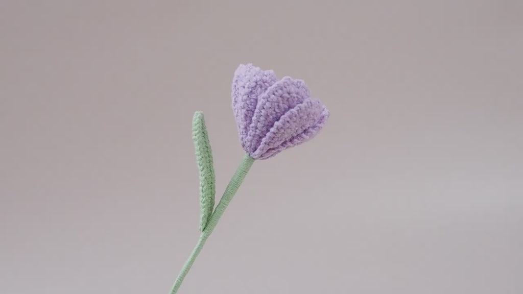 10 Stems Handmade Crochet Cosmos Flowers for Vase Decor & Gifts
