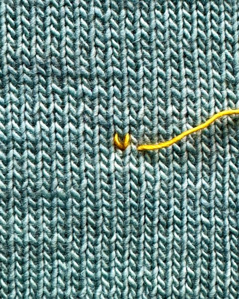 Swiss Darning (double stitching)