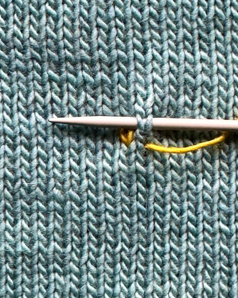 Swiss Darning (double stitch)