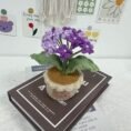 Crochet flower_5
