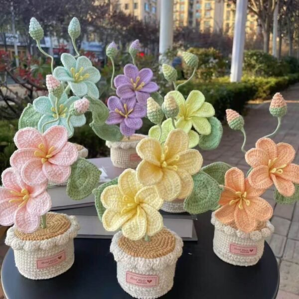 Decorative Plants_1