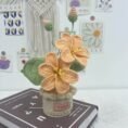 Decorative Plants_10