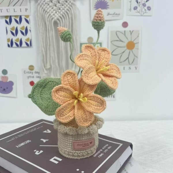 Decorative Plants_10