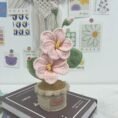 Decorative Plants_11