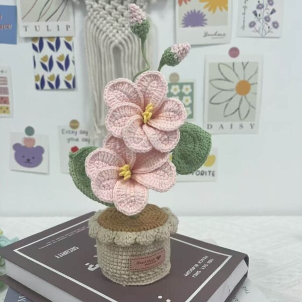 Decorative Plants_11