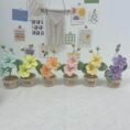 Decorative Plants_2