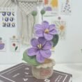 Decorative Plants_6