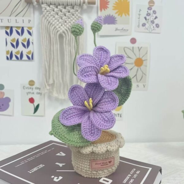 Decorative Plants_6