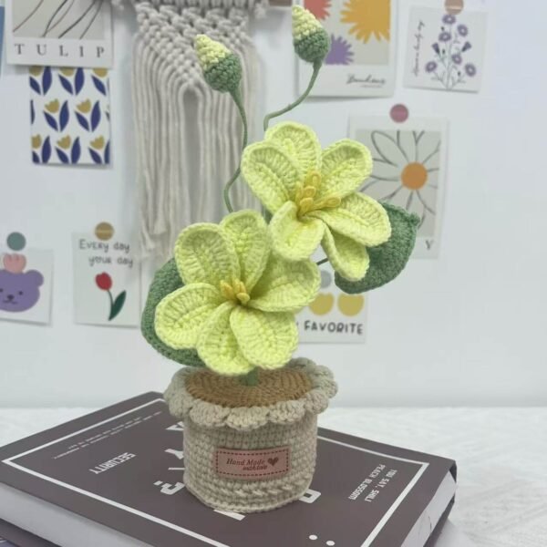 Decorative Plants_7