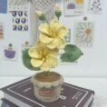 Decorative Plants_8