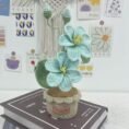 Decorative Plants_9