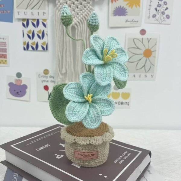 Decorative Plants_9