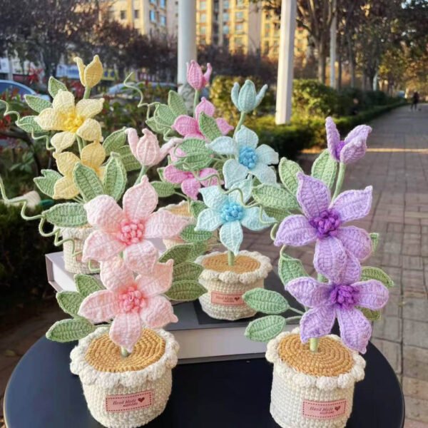 Flower Potted Plant_9
